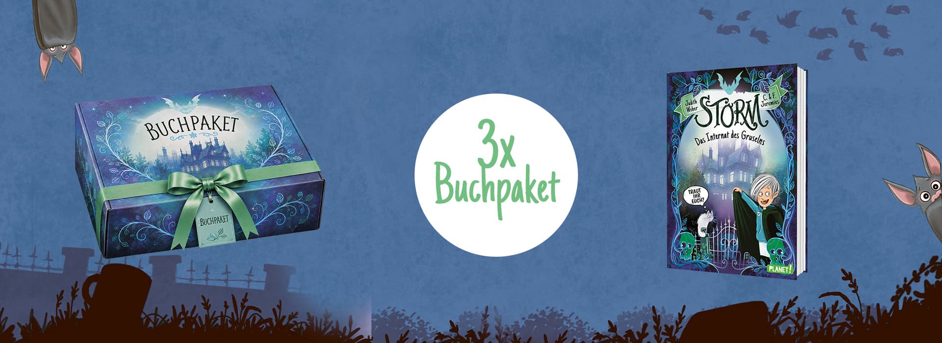 Gewinnspielbild mit Buchpaket und Buch im Stil von "Storm"