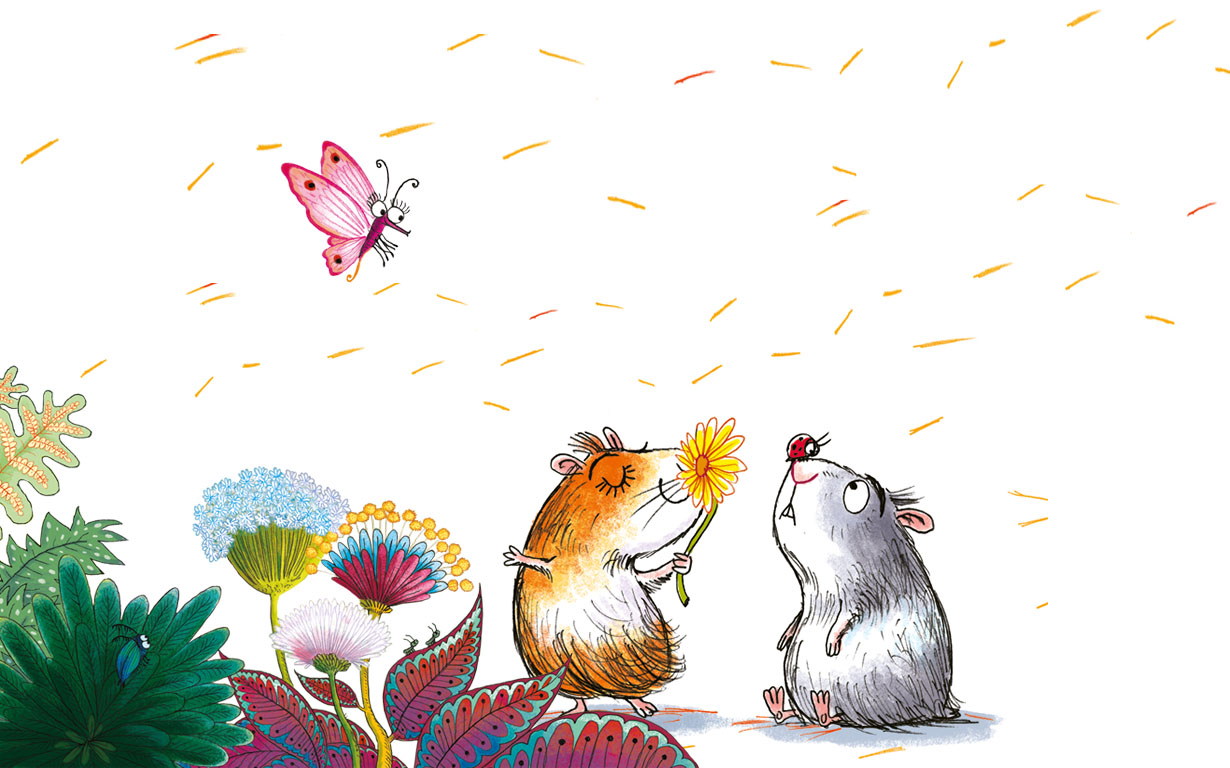 Ein witziges Abenteuer zweier liebenswerter Meerscheinchen – Zum Bilderbuch „Flauschi und Schnuff büxen aus“