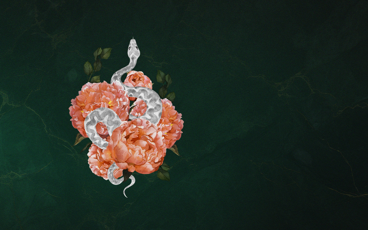 Brasilianische Mythologie trifft auf Romantik – Zur Romantasy „Venom and Vengeance“