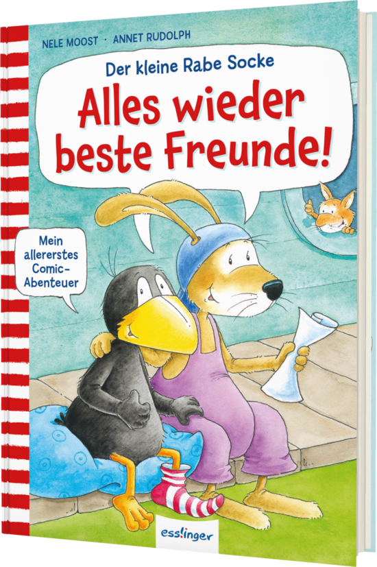 Das Buchcover zeigt den kleinen Raben Socke und seinen Freund, einen Hund, die fröhlich zusammenstehen. Der Hintergrund ist hellblau mit einem Teppich in sanften Farben, während die Ecke eine kleine Katze zeigt.