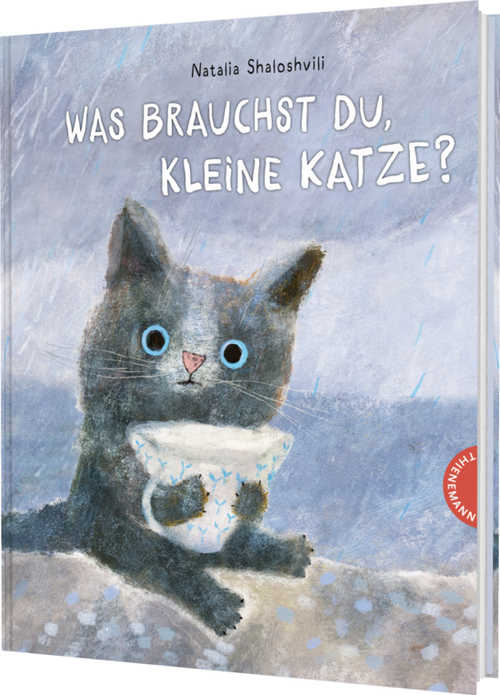 Das Buchcover zeigt eine graue Katze mit großen blauen Augen, die eine weiße Schüssel hält. Im Hintergrund ist ein grauer Himmel zu sehen, und es scheint zu regnen.
