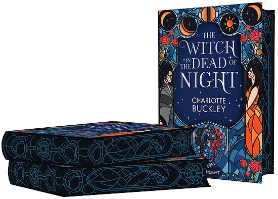 Das Buchcover zeigt zwei gegensätzliche Figuren in Grau und Orange vor einem blauen, glasfensterartigem Motiv mit Mond, Sternen und roten Rosen.