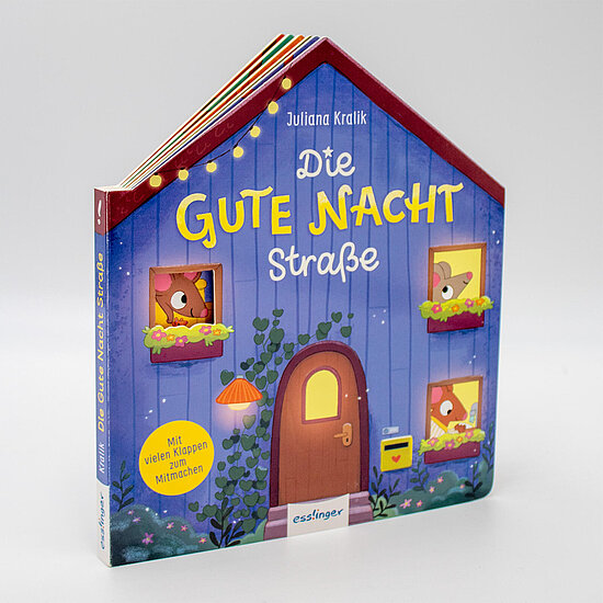 Das Buchcover zeigt ein blauviolettes Haus mit brauner Tür, Lichterkette und drei tierische Figuren, die aus bunten Fensterkästen schauen.