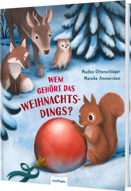 Blick ins Buch Wem gehört das Weihnachtsdings?