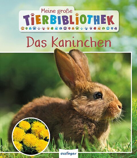Das Buchcover zeigt ein braunes Kaninchen, das auf grünem Gras sitzt, umgeben von unscharfem Hintergrund. In einer kleinen runden Ecke sind gelbe Löwenzahnblüten abgebildet.