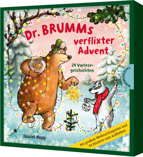 Das Buchcover zeigt einen bärenförmigen Protagonisten mit einem Hut, der eine leuchtende Stern-Dekoration hält. Neben ihm steht ein grauer Fuchs, umgeben von verschneiten Tannen und bunten Lichtern.