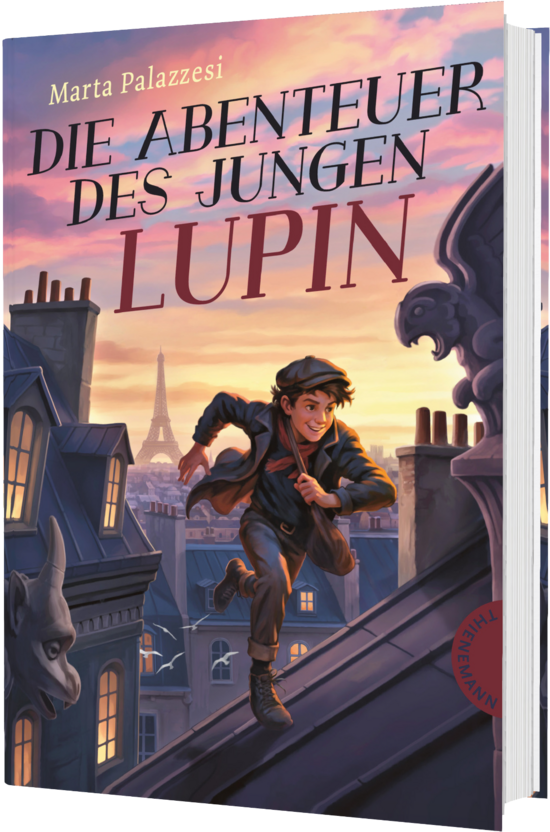 Das Buchcover zeigt einen Jungen mit Mütze, der bei Sonnenuntergang über Pariser Dächer springt. Im Hintergrund Eiffelturm, Gargoyles und rosa Himmel.