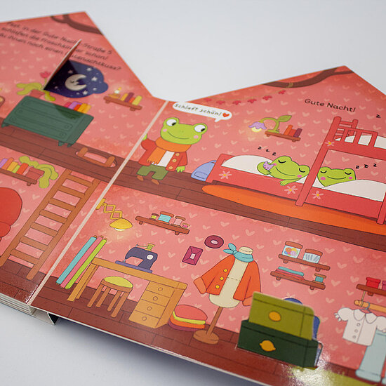 Das Buchcover zeigt einen rosa Kinderraum mit zwei grünen Fröschen auf einem Etagenbett, einem stehenden Frosch, Schreibtisch und Regalen.