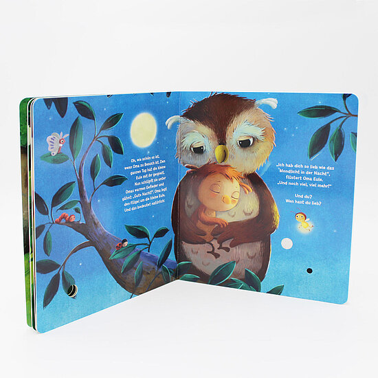 Das Buchcover zeigt eine große Eule, die ein schlafendes Kind im Arm hält, vor blauem Nachthimmel mit Ast, Blättern, Mond und Glühwürmchen.