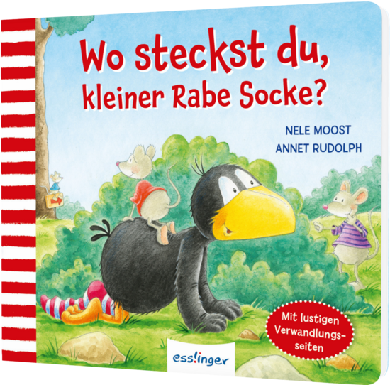 Das Buchcover zeigt den fröhlichen Raben Socke auf einer Wiese, umgeben von drei neugierigen Mäusen. Der Hintergrund ist grün mit blauem Himmel und bunten Pflanzen.