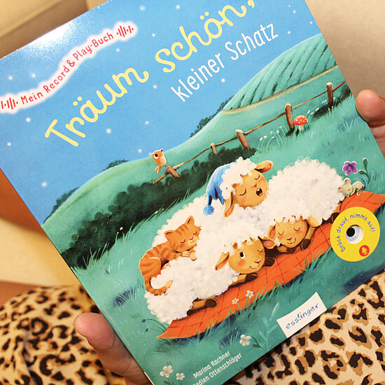 Das Buchcover zeigt … drei schlafende weiße Lämmer auf einer roten Decke mit einer orange gestreiften Katze und blauem Himmel über grünen Hügeln.