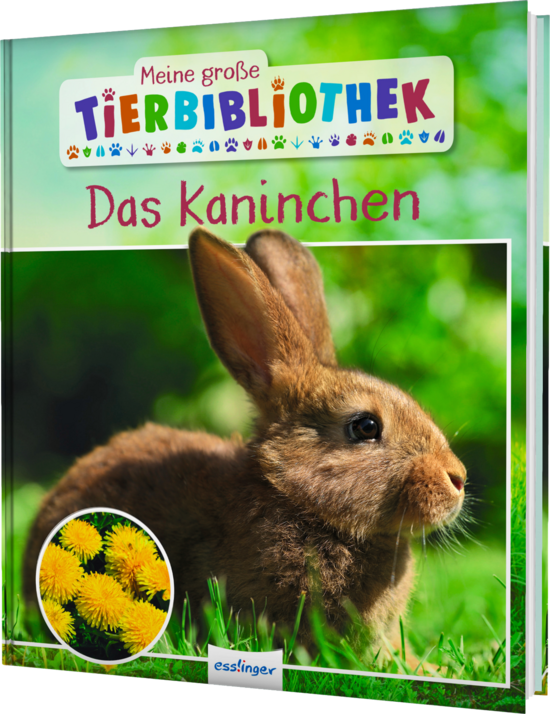 Das Buchcover zeigt ein kleines braunes Kaninchen im Profil, umgeben von grünem Gras, mit gelben Löwenzahnblüten in der unteren Ecke. Der Titel „Das Kaninchen“ ist in roten Buchstaben geschrieben.