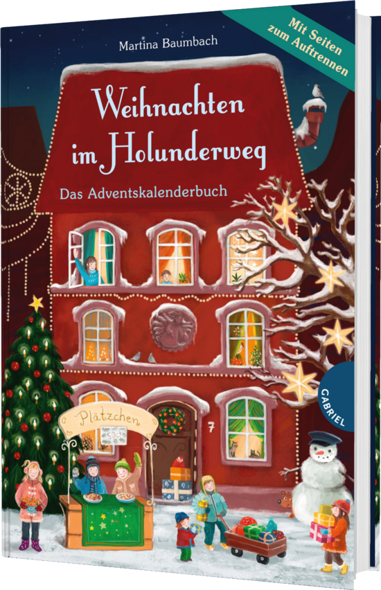 Das Buchcover zeigt ein rot bemaltes Haus mit vier Fenstern und einem geschmückten Weihnachtsbaum daneben. Vor dem Haus stehen Kinder an einem Verkaufsstand und ein Schneemann ist zu sehen.