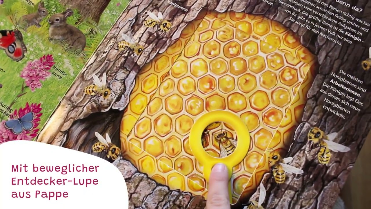 Mein Lupen-Wimmelbuch | Produktvideo