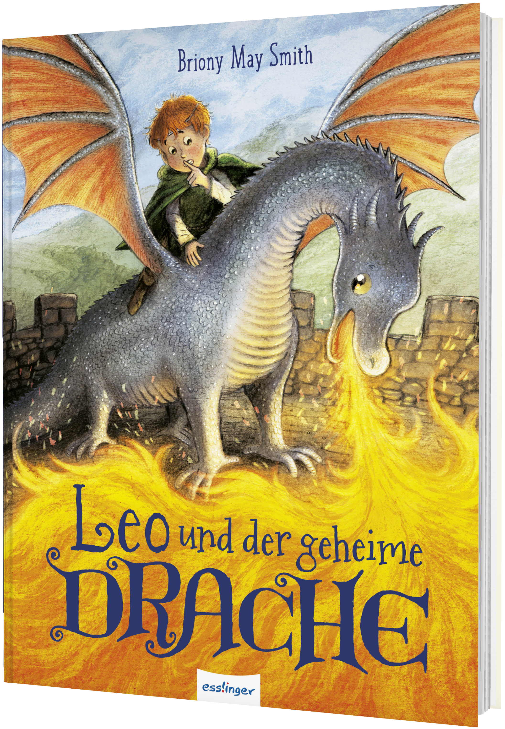 Leo und der geheime Drache